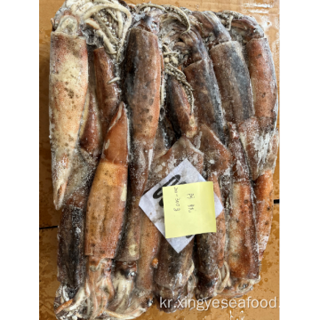 얼어 붙은 오징어 전체 라운드 Illex Argentinus Squid 200-300g.